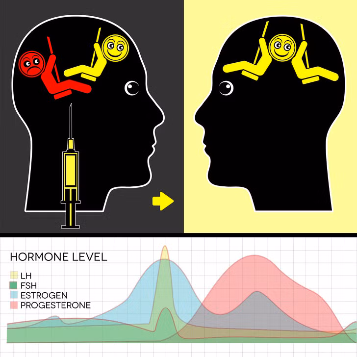 Thay đổi tâm trạng: Nếu bạn liên tục thay đổi tâm trạng trong suốt cả ngày, đây là dấu hiệu cho thấy có sự mất cân bằng nội tiết tố trong cơ thể bạn. Các độc tố như xenoestrogen gây ra sự mất cân bằng nội tiết tố.
