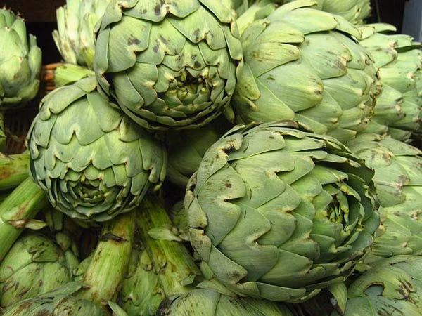 Artiso giúp giảm cân vì nó có nhiều chất xơ, có khả năng kiềm chế sự thèm ăn, kiểm soát mức cholesterol trong máu và ngăn ngừa bệnh tiểu đường.