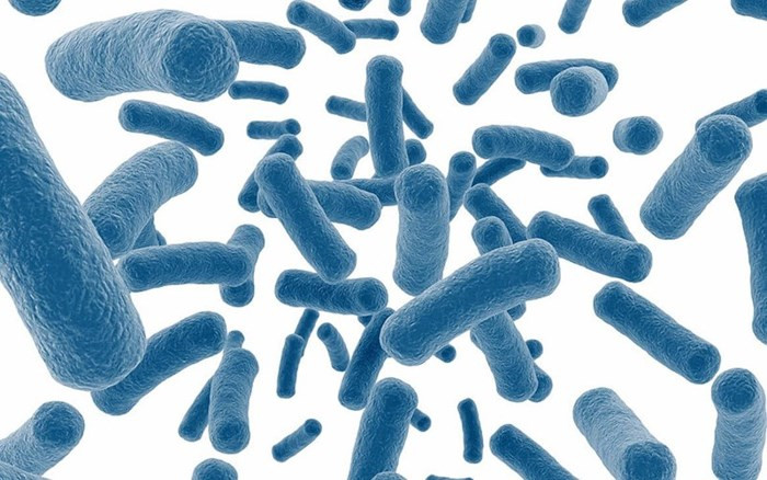 Probiotics: Probiotics là vi khuẩn có lợi trong ruột. Và theo một nghiên cứu, việc bổ sung probiotic với loài Plantarum Lactobacilli, Brevis và Rhamnosus có thể làm giảm mức acid uric trong máu. Tuy nhiên, quá nhiều probiotic có thể gây nguy hiểm cho cơ thể. Vì vậy, hãy sử dụng chúng một cách thận trọng.