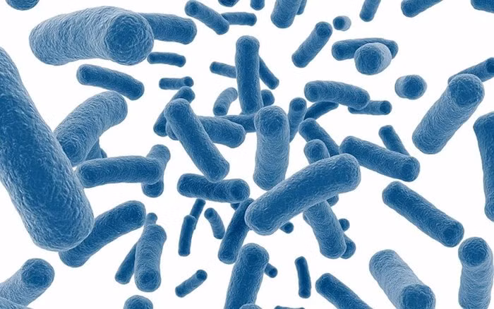 Probiotics: Probiotics là vi khuẩn có lợi trong ruột. Và theo một nghiên cứu, việc bổ sung probiotic với loài Plantarum Lactobacilli, Brevis và Rhamnosus có thể làm giảm mức acid uric trong máu. Tuy nhiên, quá nhiều probiotic có thể gây nguy hiểm cho cơ thể. Vì vậy, hãy sử dụng chúng một cách thận trọng.