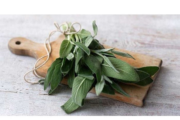 Xô thơm: Xô thơm được sử dụng trong các món ăn như thịt lợn, đậu, khoai tây, phô mai và sốt bơ nâu. Loại thảo mộc này là nguồn cung cấp chất xơ, canxi, magiê, sắt, mangan và vitamin B, C, E và đồng.