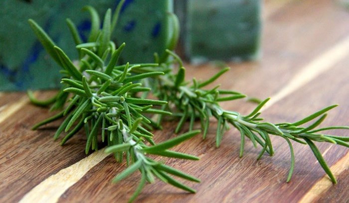 Hương thảo: Hương thảo có vị đắng nhẹ rất quyến rũ. Mùi của cây hương thảo có thể át mùi tanh của thịt cá, tạo thêm vị đặc biệt khi làm các món nướng như pizza, gà nướng, tôm nướng. Bên cạnh nấu nướng, cây hương thảo giúp đuổi muỗi hiệu quả, mùi của loại cây này cũng giúp con người tư duy và ghi nhớ tốt hơn.