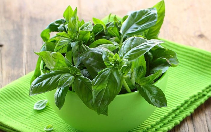 Húng tây: Húng tây là loại thảo mộc tốt và có nhiều đặc tính chữa bệnh. Nó giàu chất chống oxy hóa, đặc tính kháng khuẩn hơn nữa giàu vitamin K, canxi, sắt, magie, các vitamin... có tác dụng điều trị đau bụng, tiêu chảy, viêm khớp, đau họng và nhiều bệnh khác.