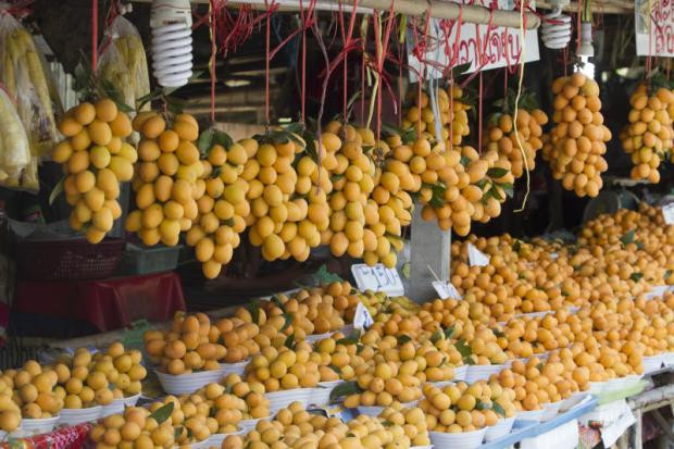 Plango là loại trái cây được trồng phổ biến nhất ở Nakhon Nayok, Thái Lan. Ngoài ra, nó còn được trồng ở Malaysia và Indonesia. Ảnh: Traveling Chili.