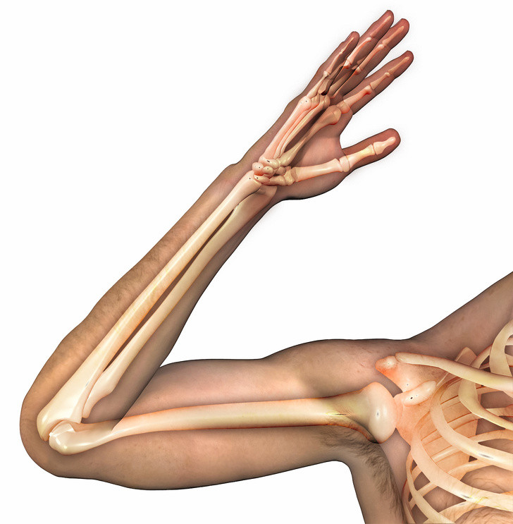 Tăng cường bổ sung canxi: Để ngăn ngừa tình trạng thiếu canxi sau tuổi 40, chế độ ăn uống của bạn nên chứa các sản phẩm từ sữa, các loại hạt.