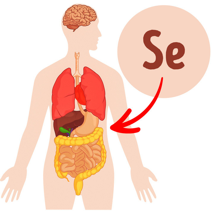 Tăng cường đậu lăng: Ăn đậu lăng có thể giúp giảm mức cholesterol xấu, giảm nguy cơ mắc bệnh tim, tiểu đường, béo phì và cả ung thư.