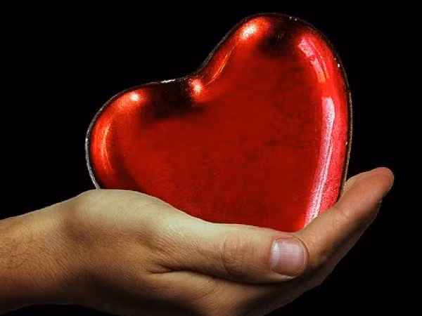 Thường xuyên ăn cá rô phi giúp bảo vệ tim bạn khỏi các bệnh khác nhau. Cá rô phi tự nhiên có nhiều axit béo omega-3, giúp giảm huyết áp và ngăn ngừa các cơn đau tim, đột quỵ và xơ vữa động mạch.