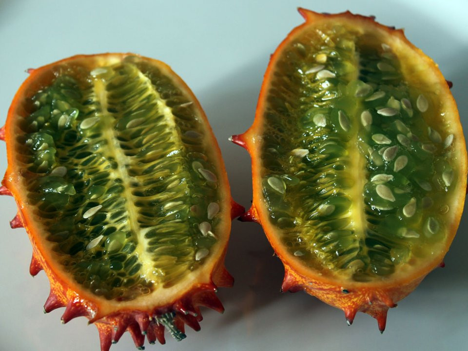 Dưa “sừng” khi chín có màu vàng và mọc nhiều sừng lởm chởm, trong khi ruột bên trong có màu xanh với vị chát. Quả này có thể ăn được nhưng thường được sử dụng làm đồ trang trí trên bàn ăn bởi vị chát của nó. Ảnh: Insider.