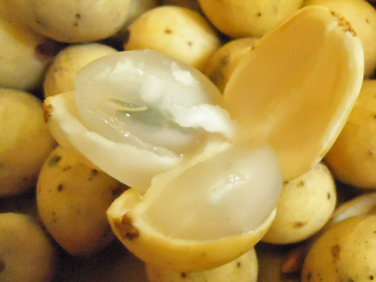 Ngoài các loại quả Việt Nam có nhiều, trang Insider còn giới thiệu nhiều trái cây độc đáo khác như quả bòn bon của Thái Lan. Đây là loại trái cây có vị chua, ngọt mát. Ngoài việc dùng để giải khát mùa hè thì quả bòn bon còn có nhiều lợi ích rất tốt cho sức khỏe.