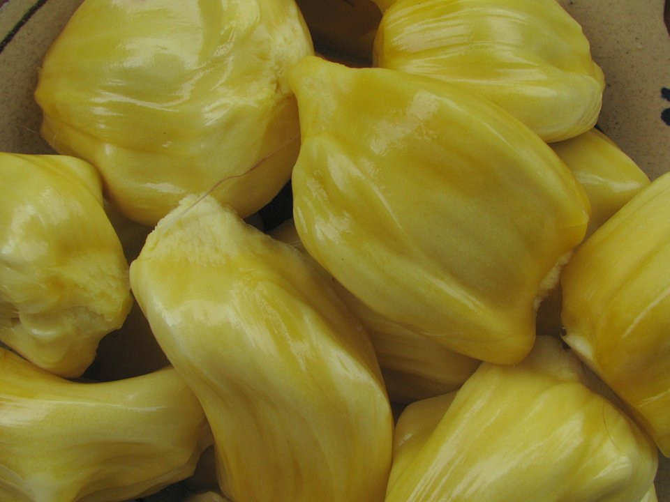 Mít là một trái cây phổ biến ở Việt Nam. Khi chín, mít có hương thơm hấp dẫn và vị ngọt ngào. Quả này còn giàu tinh bột và chất xơ.