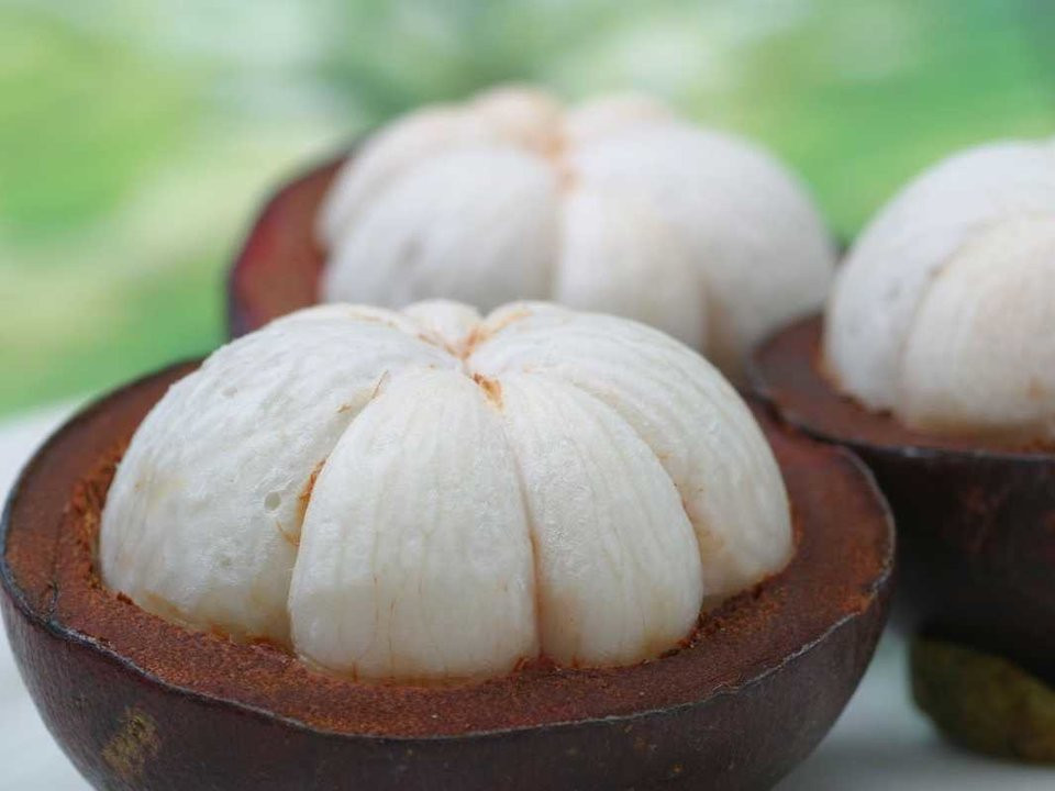 Quả măng cụt có phần vỏ cứng, phần thịt bên trong ngọt ngào và thơm, có hương vị giống như quả đào.