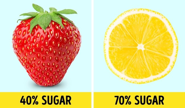 Chanh có nhiều đường hơn dâu tây. Một quả dâu tây chứa 40% đường trong khi chanh có tới 70% hàm lượng đường.