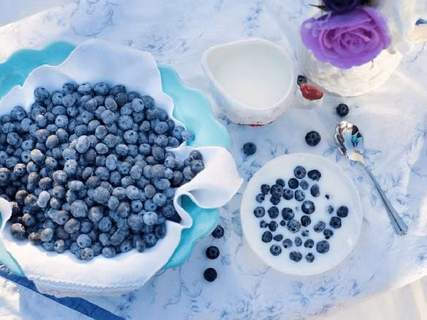 Quả việt quất giàu các chất chống oxy hóa như vitamin E và vitamin C có thể giúp giữ cho tế bào khỏe mạnh. Thực phẩm lành mạnh này giúp trẻ hóa làn da, ngăn ngừa ung thư, rất tốt cho phụ nữ mang thai và thúc đẩy sức khỏe tim mạch.