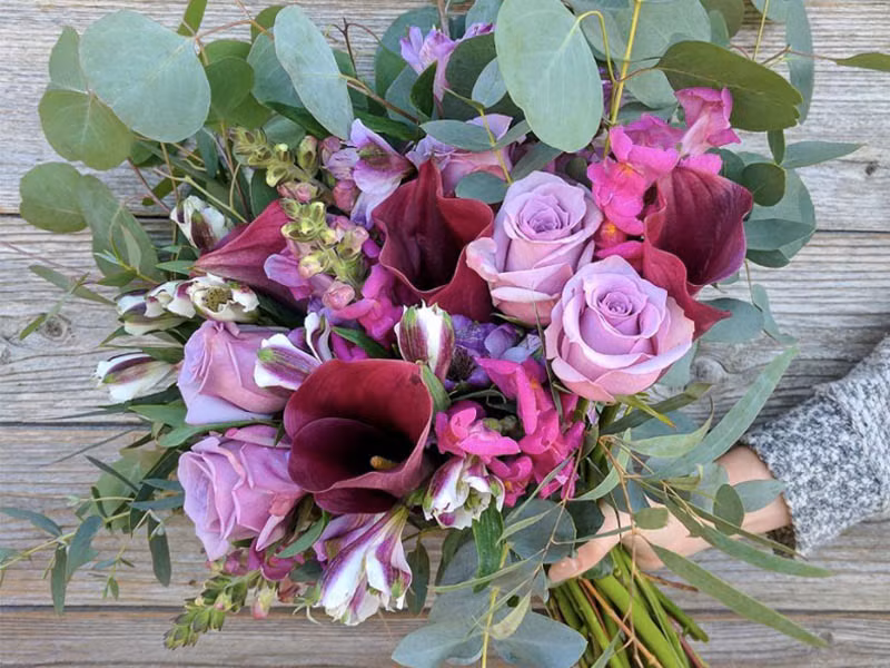 Bó hoa màu tím mơ màng.