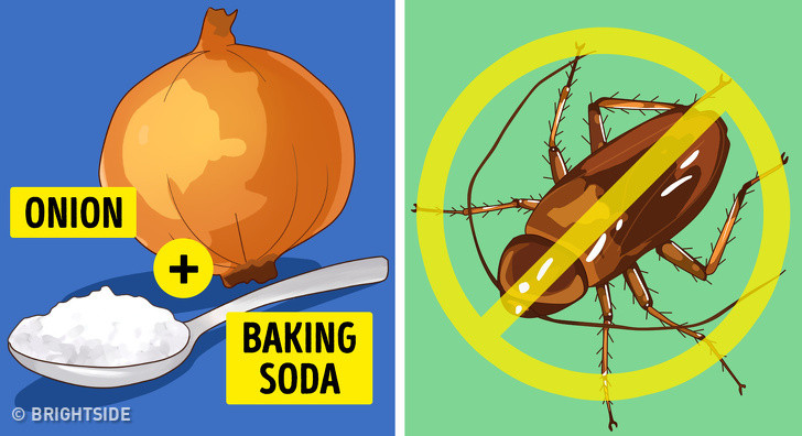 Đuổi gián: Thái một củ hành rồi trộn vào một thìa baking soda, để hỗn hợp này ở những góc nhà nơi có dán hay đi qua. Mùi vị cay nồng của hành sẽ đuổi sạch côn trùng chạy xa khỏi ngôi nhà của bạn.