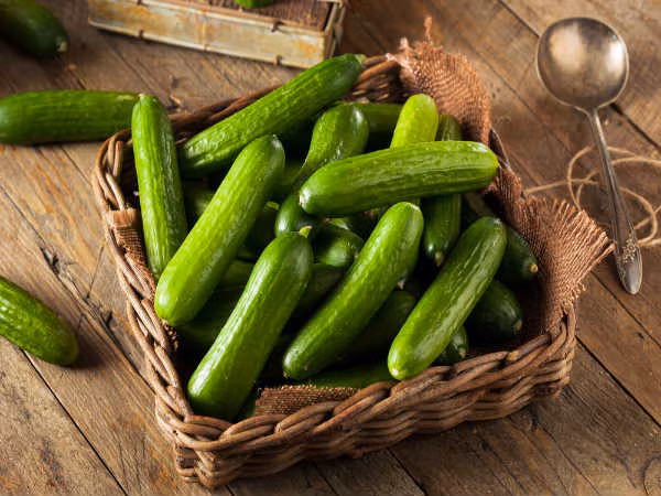 Dưa chuột chứa 16 calo trong 100 gram. Vì vậy, bạn có ăn bao nhiêu dưa chuột tùy thích thì cũng không sợ tăng cân. Trái cây này còn hỗ trợ tiêu hóa, ngăn ngừa mất nước và giúp đốt cháy lượng chất béo dư thừa.