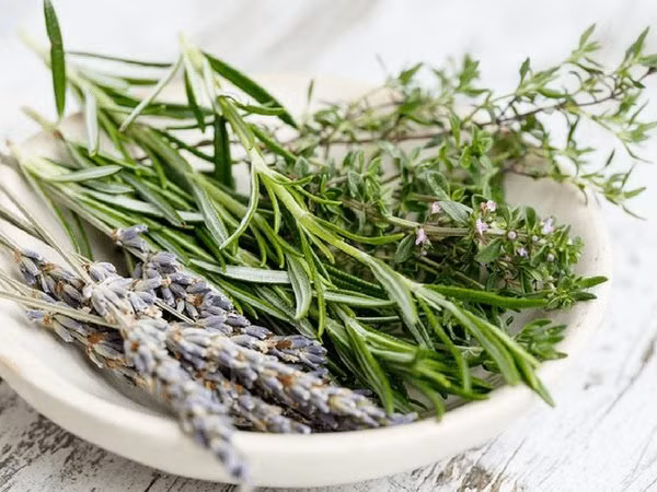 Hương thảo được sử dụng trong các công thức nấu ăn. Hương thảo giúp đốt cháy chất béo bụng nhanh hơn bởi vì nó chứa chất xơ giúp ngăn sự hấp thu chất béo.