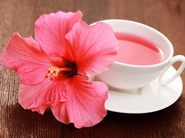 Trà hoa dâm bụt cũng giúp giảm cân bằng cách loại bỏ lượng nước dư thừa trong cơ thể. Hoa dâm bụt khô có tính chất lợi tiểu và giúp phá vỡ mỡ thừa trong cơ thể.