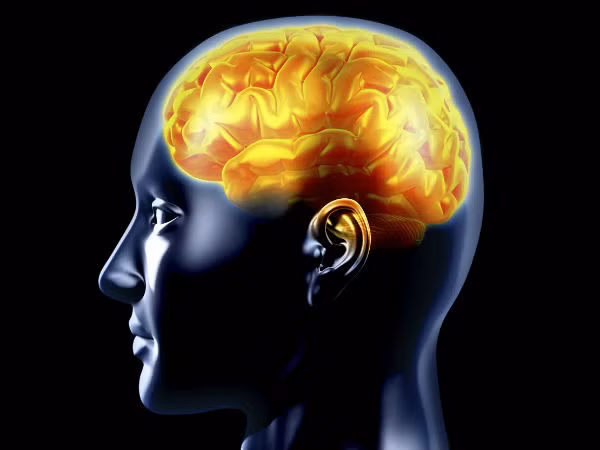 Hàm lượng fisetin trong nước dưa chuột giúp cải thiện chức năng và trí nhớ của não. Một số nghiên cứu đã gợi ý rằng nước ép dưa chuột sẽ giúp bệnh nhân Alzheimer duy trì các chức năng nhận thức.