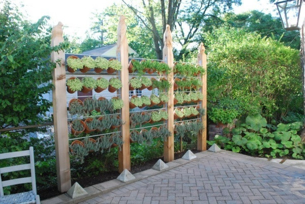 Góc sân mùa hè được cố định với những chiếc kệ, những chậu cây nho nhỏ xinh xinh. Bạn nên trồng các loại cây cảnh chịu nhiệt tốt như sen đá, xương rồng, dương xỉ... Điểm nhấn ấn tượng này luôn khiến khu vườn trở nên đặc biệt hơn trong mắt khách ghé thăm.