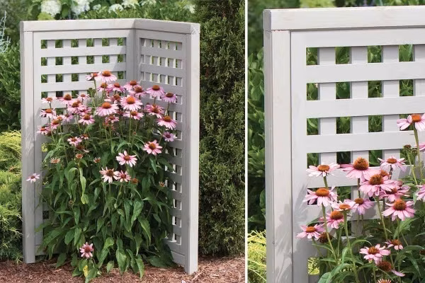 Chọn vách ngăn với gam màu trắng dễ dàng nổi bật trên nền xanh của vườn. Chỉ cần thêm những bông cúc rực rỡ, chúng sẽ giúp không gian ngoại thất đẹp lãng mạn và thi vị trong suốt những ngày hè nóng nực.