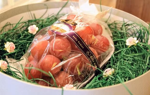 Nho 11 trieu/chum, dua hau 4 trieu/qua van hut nha giau Viet