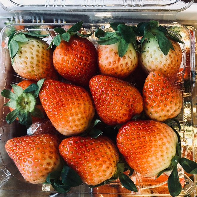 Nho 11 trieu/chum, dua hau 4 trieu/qua van hut nha giau Viet-Hinh-2