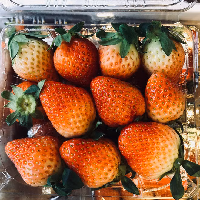 Nho 11 trieu/chum, dua hau 4 trieu/qua van hut nha giau Viet-Hinh-2