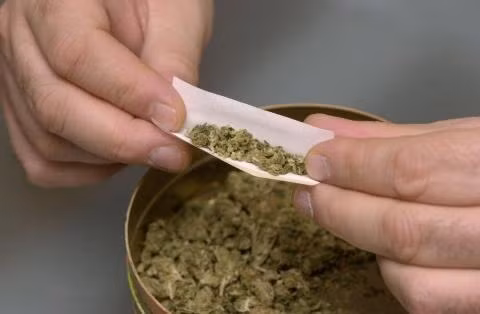 10. Cỏ Mỹ có hình dạng giống như cần sa nhưng sợi vụn hơn, mùi hơi khét, dạng nhựa cháy chứ không "tỏa hương" như cần sa. Cỏ Mỹ khá nguy hiểm vì có thể gây loạn thần với các triệu chứng ảo giác và hoang tưởng. Ảnh: Internet.