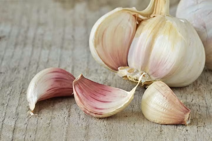 Tỏi kích thích lưu lượng máu và cũng có chứa các đặc tính chống viêm và kháng khuẩn sẽ giữ cho quá trình tiêu hóa ổn định.