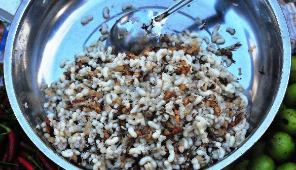 Kiến lửa băm: Larb Mote Daeng được làm từ kiến lửa và trứng của nó. Thật ra, khi dọn lên bàn ăn thì trứng kiến và kiến đều đã được băm nhuyễn nên người ăn sẽ không hình dung được nguyên liệu bên trong. Vị chua chua của kiến hòa với vị bùi béo của trứng khiến món ăn này trở nên rất hấp dẫn.