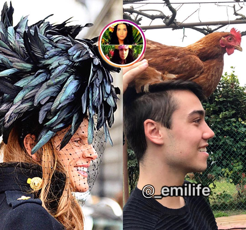 Những món đồ có sẵn trong nhà như rau củ, đồ gia dụng hay thậm chí là vật nuôi đều được anh chàng tận dụng để tạo nên tác phẩm hài hước.