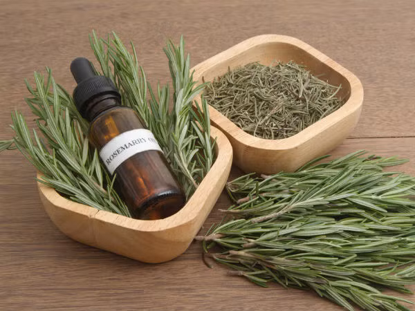 Dầu hương thảo là một trong những loại tinh dầu trị nhiễm trùng tai. Dầu hương thảo cũng có khả năng làm dịu nhiễm trùng xoang.