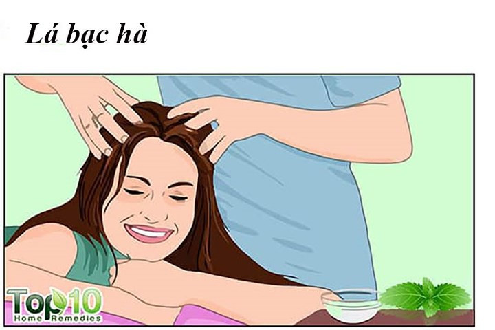 Bạc hà là một loại thảo dược khác mà bạn có thể sử dụng để điều trị rụng tóc và cải thiện sức khỏe tóc. Tinh dầu bạc hà kích thích lưu thông máu đến da đầu giúp kích thích nang tóc và do đó thúc đẩy sự phát triển của tóc.