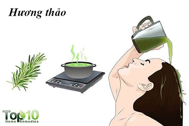 Hương thảo cũng kích thích sự phát triển của tóc. Nó cải thiện lưu thông máu đến da đầu, mang lại nhiều chất dinh dưỡng cho các nang tóc và thúc đẩy sự phát triển của tóc. Loại thảo dược này cũng giúp ngăn ngừa hiện tượng gàu, ngoài ra, nó có thể giúp điều trị da đầu khô hoặc ngứa. Một nghiên cứu năm 1998 được công bố trên tạp chí Archives of Dermatology cho biết hương thảo có thể được sử dụng để điều trị chứng rụng tóc. Hơn nữa, chất kháng khuẩn của nó làm sạch tóc, ngăn ngừa ngứa và gàu.