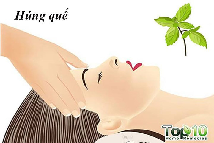 Húng quế cũng tốt cho sự tăng trưởng tóc: Xoa bóp da đầu bằng dầu húng quế giúp kích thích lưu thông máu, dẫn đến sự phát triển tóc được cải thiện. Nó cũng có eugenol và magiê tốt cho sức khỏe tóc.