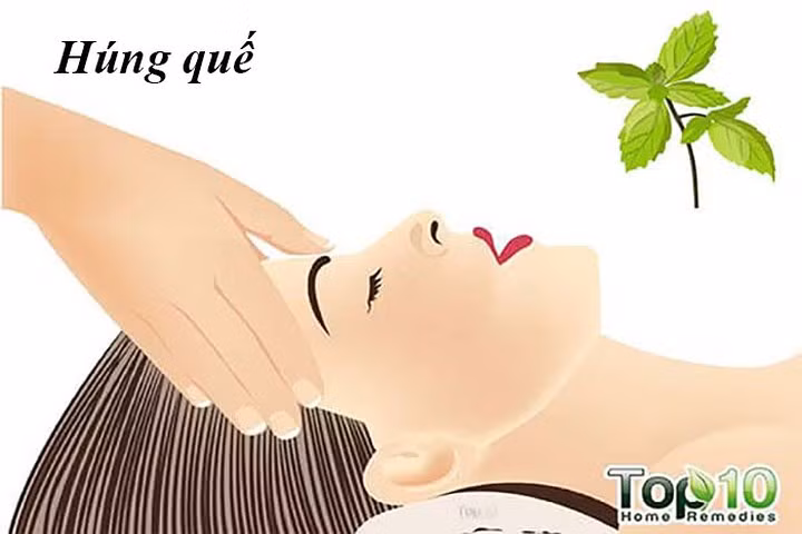 Húng quế cũng tốt cho sự tăng trưởng tóc: Xoa bóp da đầu bằng dầu húng quế giúp kích thích lưu thông máu, dẫn đến sự phát triển tóc được cải thiện. Nó cũng có eugenol và magiê tốt cho sức khỏe tóc.
