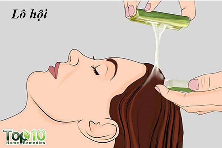 Lô hội là loại thảo mộc hiệu quả giúp chống rụng tóc và kích thích sự phát triển của tóc. Lô hội thúc đẩy lưu lượng máu đến da đầu, đưa các chất dinh dưỡng đạt đến nang tóc. Nó cũng chứa các vitamin A, C và E thúc đẩy sự tăng trưởng tế bào khỏe mạnh và làm tóc sáng bóng. Một nghiên cứu năm 2010 được công bố trên Tạp chí Nghiên cứu Hóa học và Dược phẩm lưu ý rằng các enzyme trong lô hội bảo vệ da đầu khỏi nhiều bệnh.