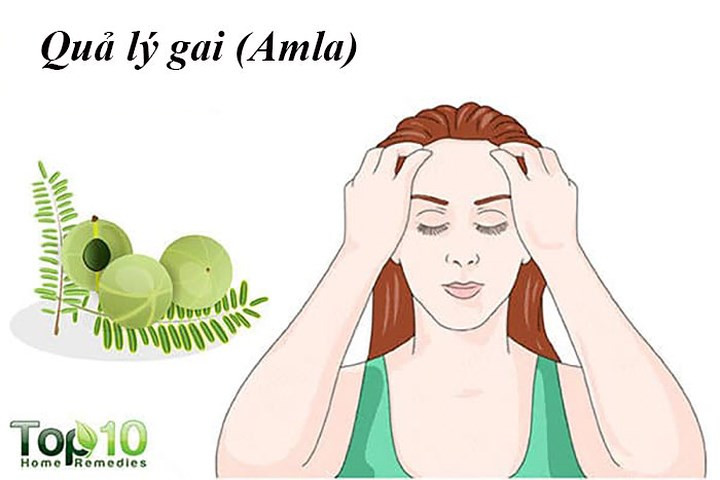Quả lý gai còn còn được gọi là amla, từ lâu đã được sử dụng như một thành phần quan trọng trong dầu gội đầu và dầu xả để thúc đẩy tăng trưởng tóc. Amla giàu vitamin C và các khoáng chất khác thúc đẩy sự tăng trưởng tóc , tăng cường rễ tóc và tăng độ bóng. Trong một nghiên cứu năm 2009 được công bố trên Tạp chí Nghiên cứu Hóa học và Dược phẩm, các nhà nghiên cứu đã xem xét khả năng của amla và các loại dầu thảo dược khác để cải thiện sức khỏe tóc và thấy rằng dầu amla tốt hơn các loại dầu khác.