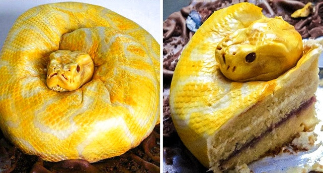 Nếu không cắt chiếc bánh kem nghệ thuật này ra thì nhiều người sẽ nghĩ rằng đây là một chú trăn đang nằm cuộn tròn.