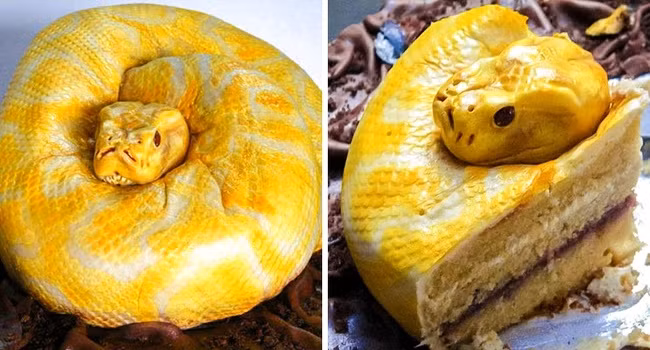 Nếu không cắt chiếc bánh kem nghệ thuật này ra thì nhiều người sẽ nghĩ rằng đây là một chú trăn đang nằm cuộn tròn.