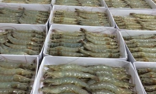 Tôm là một loại thực phẩm giàu chất đạm, thuận tiện và ít chất béo.