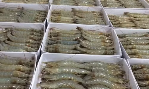 Thuc pham giau protein nac, an bao nhieu cung khong lo beo-Hinh-11