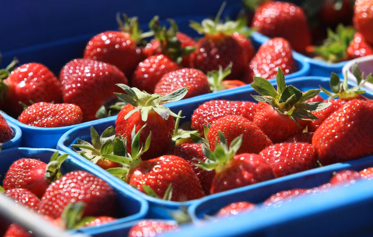 12 loại hoa quả bị nhiễm nặng thuốc trừ sâu Mỹ vừa công bố 12 loai hoa qua bi nhiem nang thuoc tru sau My vua cong bo