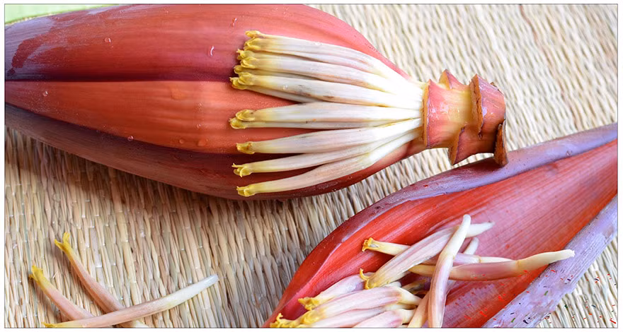 Bắp chuối giúp tăng nồng độ hemoglobin trong máu. Nồng độ hemoglobin tốt giúp mang chất dinh dưỡng đến tất cả các bộ phận của cơ thể hiệu quả nên nó là cách chữa thiếu máu tự nhiên.