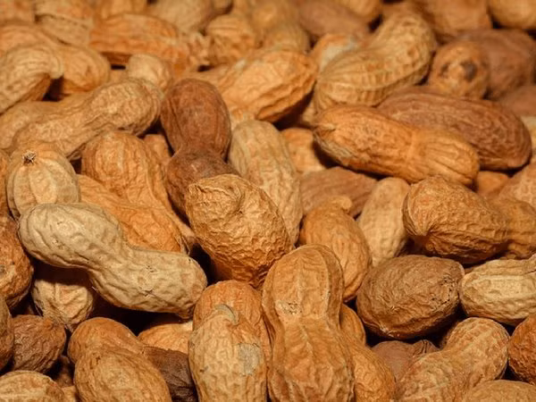 Bơ đậu phộng có hàm lượng chất xơ cao và khoảng 1 chén chứa 20 gram chất xơ.