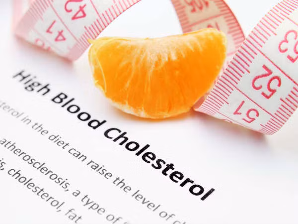 Bơ đậu phộng còn chứa chất béo không bão hòa đơn rất tốt cho tim mạch, giúp hạ thấp mức cholesterol xấu và thúc đẩy cholesterol tốt.