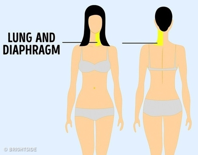 Nếu cảm thấy đau liên tục ở cổ và vai, bạn nên đi khám bác sĩ để kiểm tra phổi và cơ hoành. Cơn đau nguy hiểm này có thể là kết quả của các vấn đề về hô hấp hoặc dây thần kinh đi từ cột sống đến cơ hoành, qua phổi.