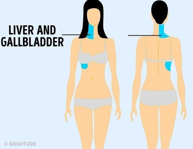Các cơn đau ở gan và túi mật không dễ xác định vì chúng có thể gây đau ở vai hoặc cổ. Và người bệnh thường đổ lỗi cho việc thiếu tập thể dục hoặc tiêu tốn quá nhiều thời gian trên máy tính.