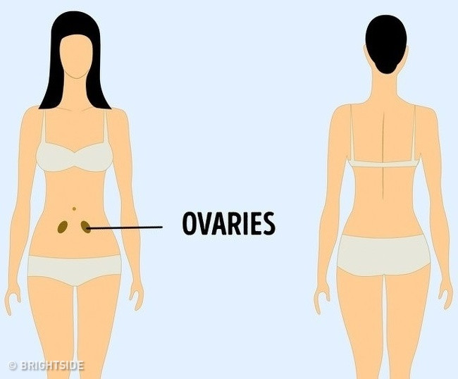 Đau bụng dưới thường xảy ra ở phụ nữ. Đau nhói ở hai bên bụng dưới có thể là một dấu hiệu của một vấn đề phụ khoa mà bạn nên đi khám bác sĩ.